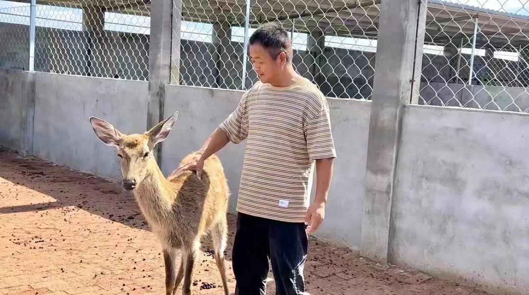 辉煌网站多少糖果